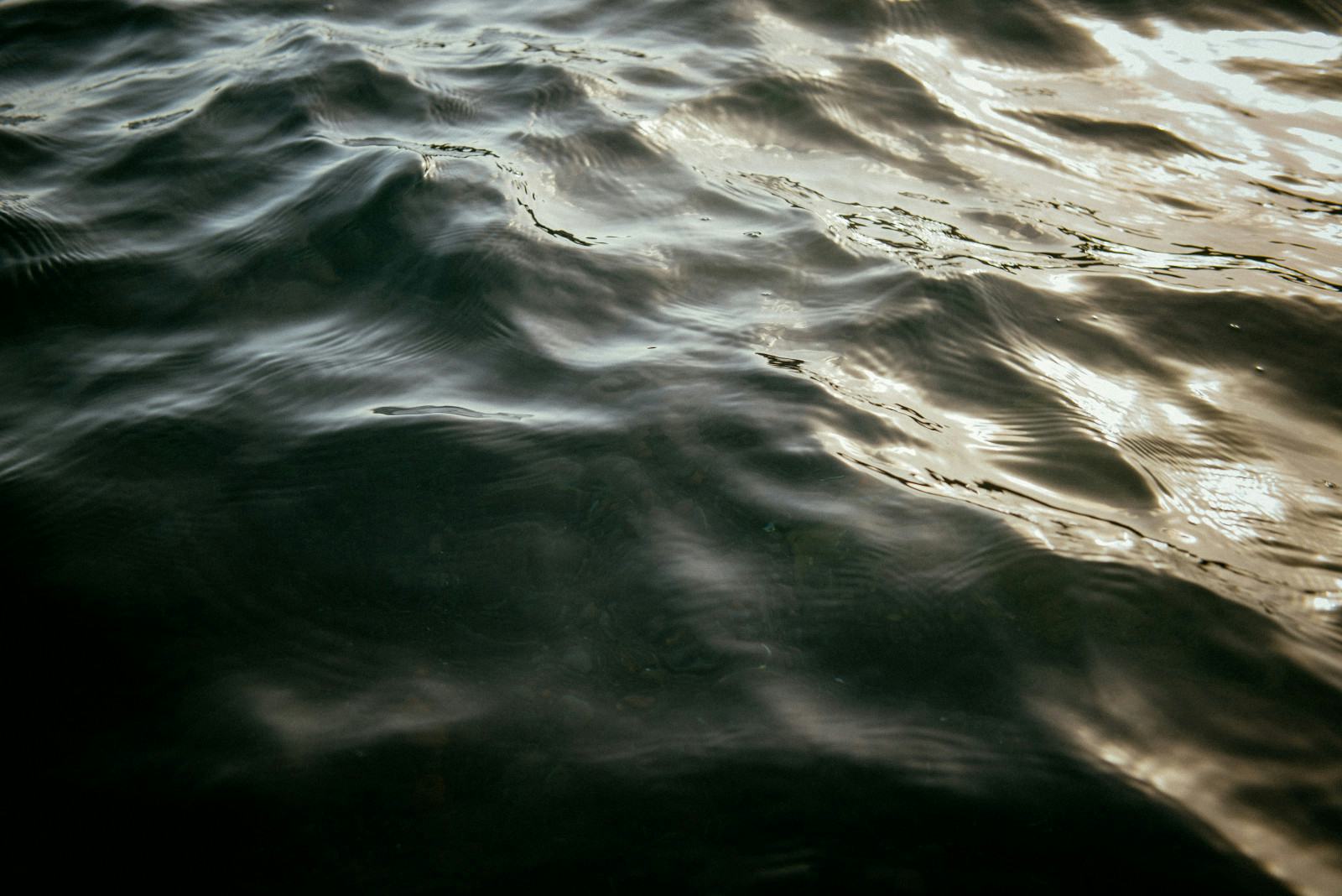 erin-hertrich-therapy-NJ-PA-and-FL-waves